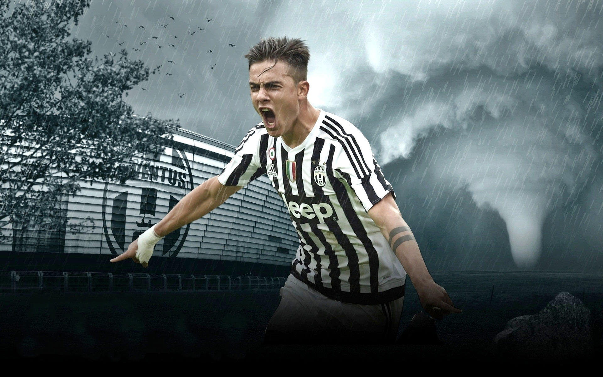 赛季还没开始呢！官方：贝西洛维奇辞职 王世龙成为同曦新任主帅