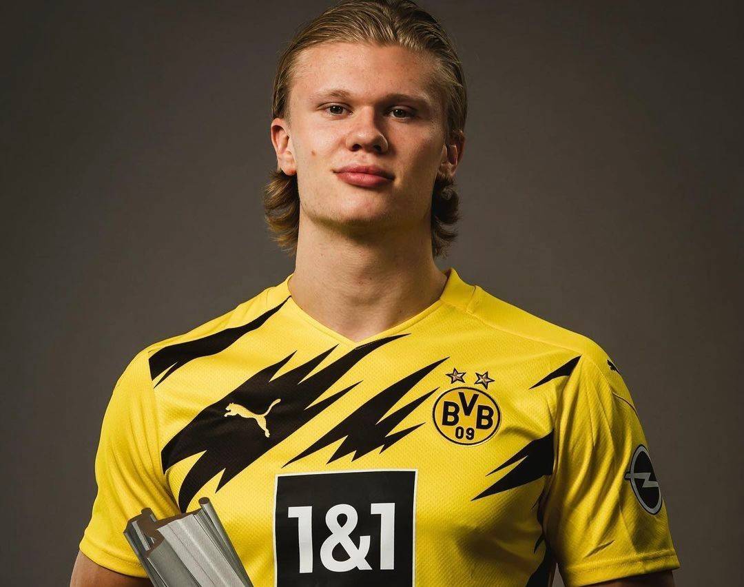 16／16，德国队史16次参加世预赛全部晋级，胜率80%仅负4场