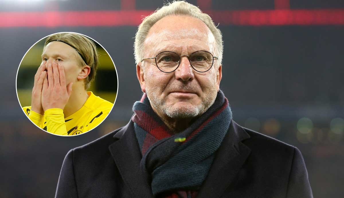 董路称日本进不了世界杯八强比国足不进世界杯更痛苦（董路直言：日本无缘世界杯八强，比国足无缘世界杯更痛苦）